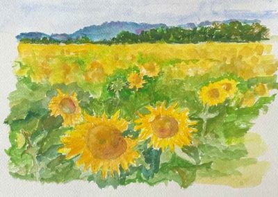 Jan-Burling-Sunflowers-Portsmouth-Arts-Guild