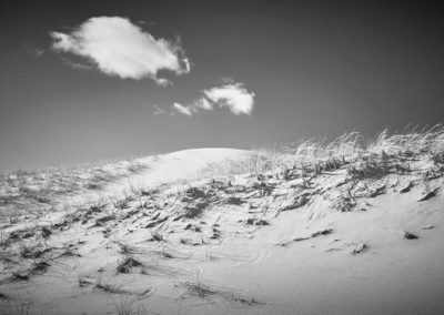 Photo-Jeff-Coolidge-High-Head-Dunes-2018-Portsmouth-Arts-Guild