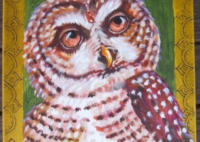 Portsmouth_Arts_Guild_Members_Showcase_Wendy_Davis_Northern_Spotted_Owl