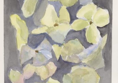 Jennifer Wright, "Hydrangea", Watercolor, $75
