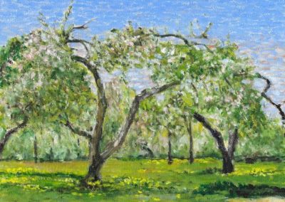 Emidio Rebelo, "Apple Blossoms", , Oil $250