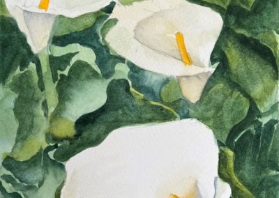 Gary Graham, "Calla Lilies in the Cotswold", Watercolor, $250