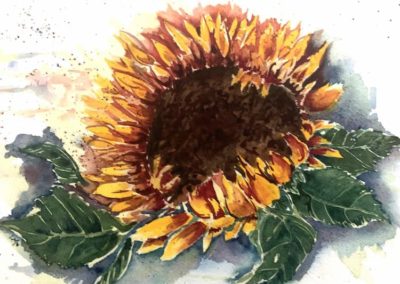Leslie Morrissey, "Sunflower Burst", Watercolor, $195