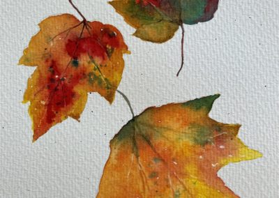 Penny Carrier, "Falling Leaves", Watercolor, $50