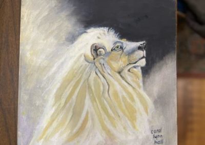 Carol Lynn Hall, "Timbavati White Lion", Oil, $200