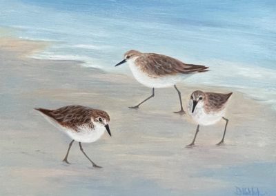 Portsmouth Arts Guild, Members Show 2024, Didem Kokturk, "Sandpiper Beach", Oil, $450