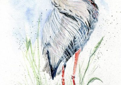 Portsmouth Arts Guild, Members Show 2024,Leslie Morrissey, "Blue Heron", Watercolor, $75