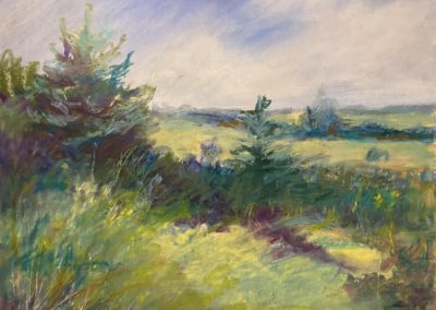 Portsmouth Arts Guild, Members Show 2024, Wendy Berube, "Colors of Nature", Pastel, $250