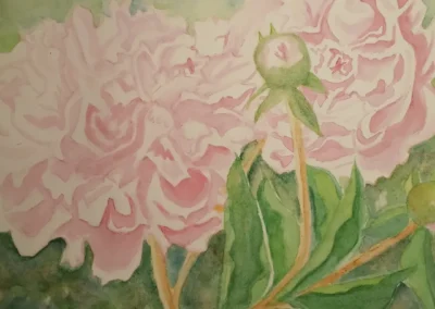 Elizabeth O'Connell, "June Peonies", watercolor, $175, Portsmouth Arts Guild