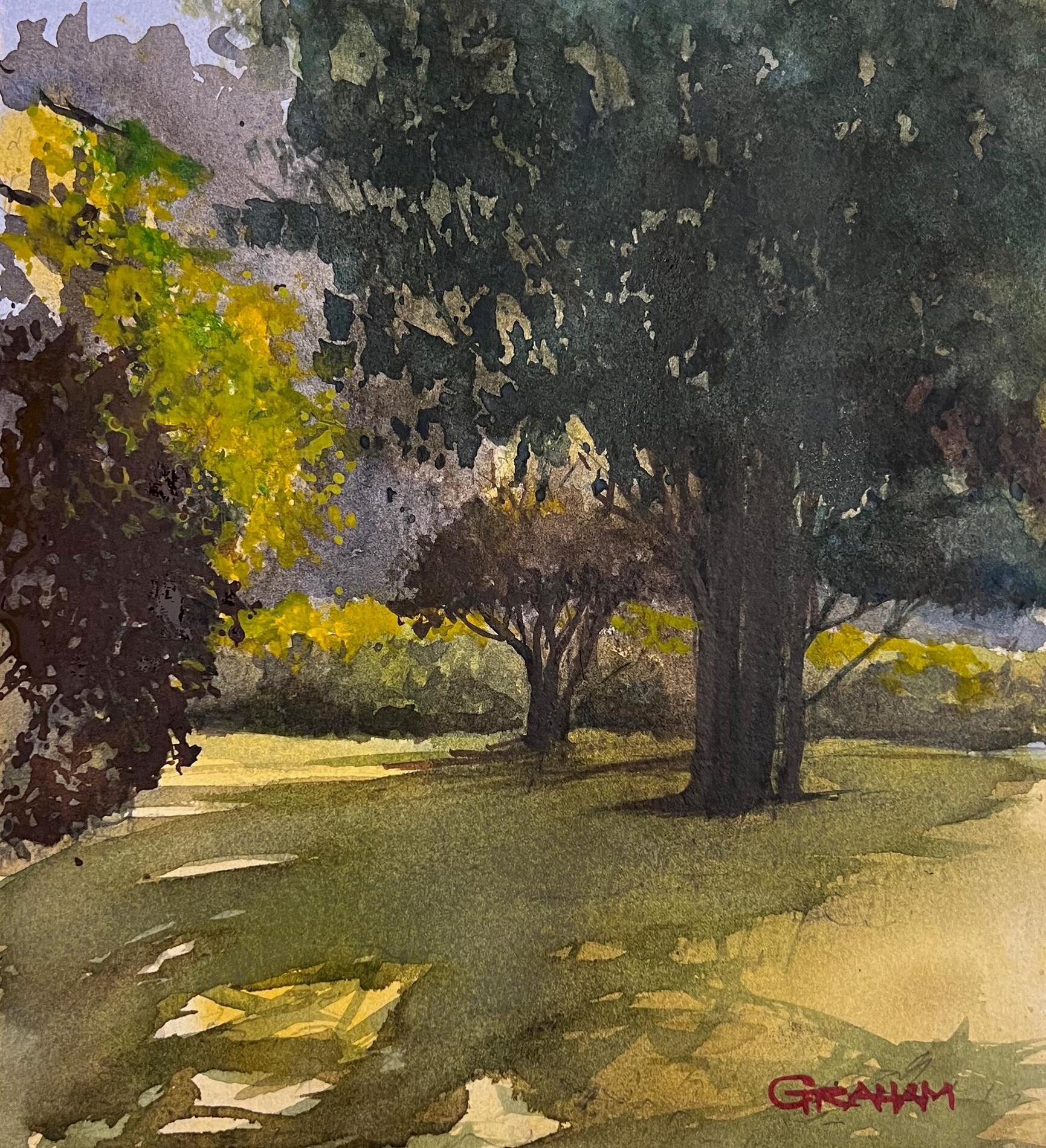 PAG, The Great Outdoors, Gary Graham, "Late Afternoon at Colt", Watercolor, $325