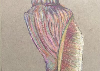 Anna Marie Schnese, Shell Gift, Soft Pastels, $100