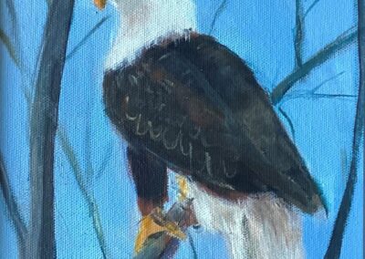 Jacqueline Johnson, Eagle At Rest, Acrylic, $150