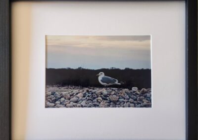 Sold James Wolstenholme, Seagull On A Winter Shore, Photography, $75