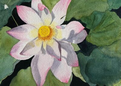 Penny Carrier, Lotus, Watercolor, $150