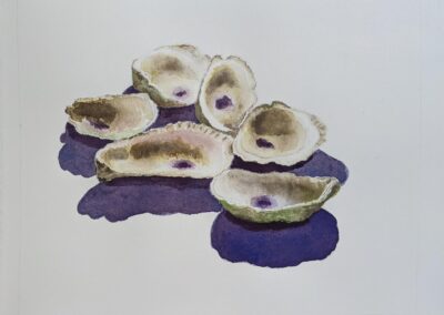 Sherrie Norton, Half Dozen Oysters, Watercolor, $40