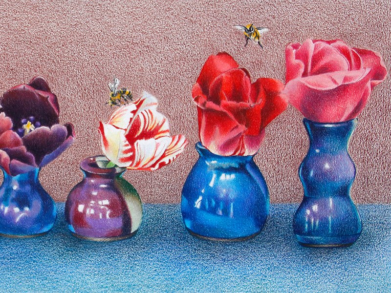 Summer Still Life with Colored Pencil with Kendra Ferreira