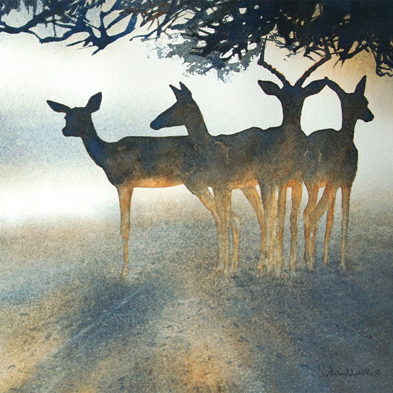 Alison Nicholls, Sketching and Painting Animals from Life