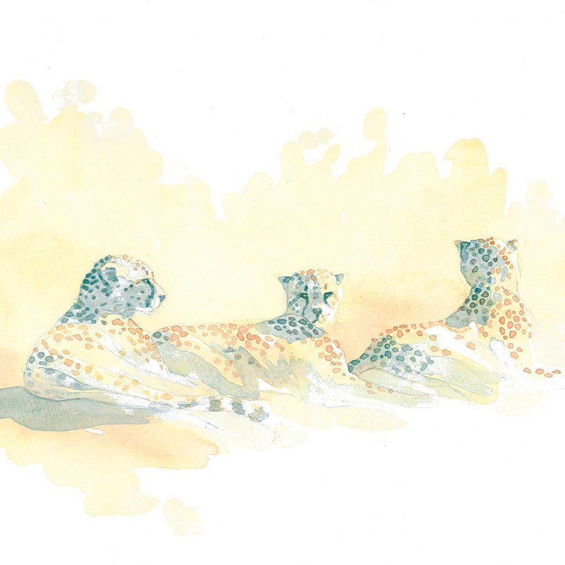 Alison Nicholls, Sketching and Painting Animals from Life