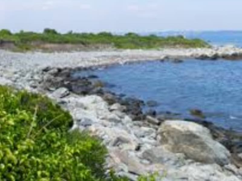 Sachuest (1)
