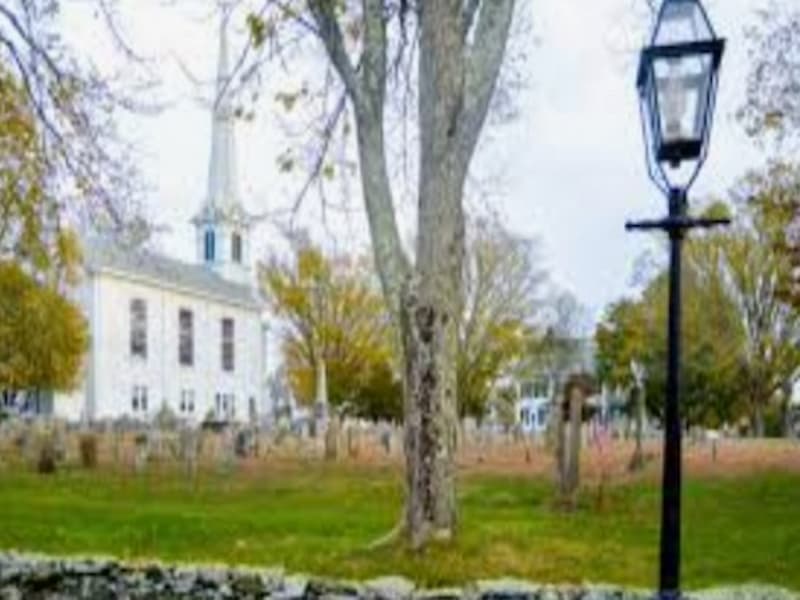 The commons (1)
