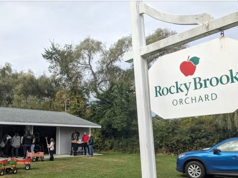 Rocky brook orchard (1)