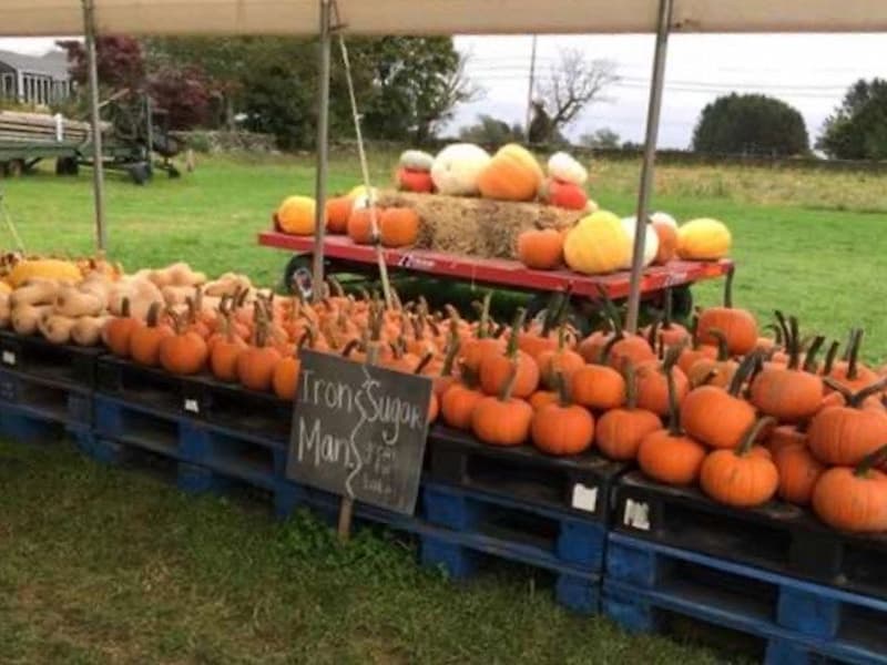 Quonset view farm