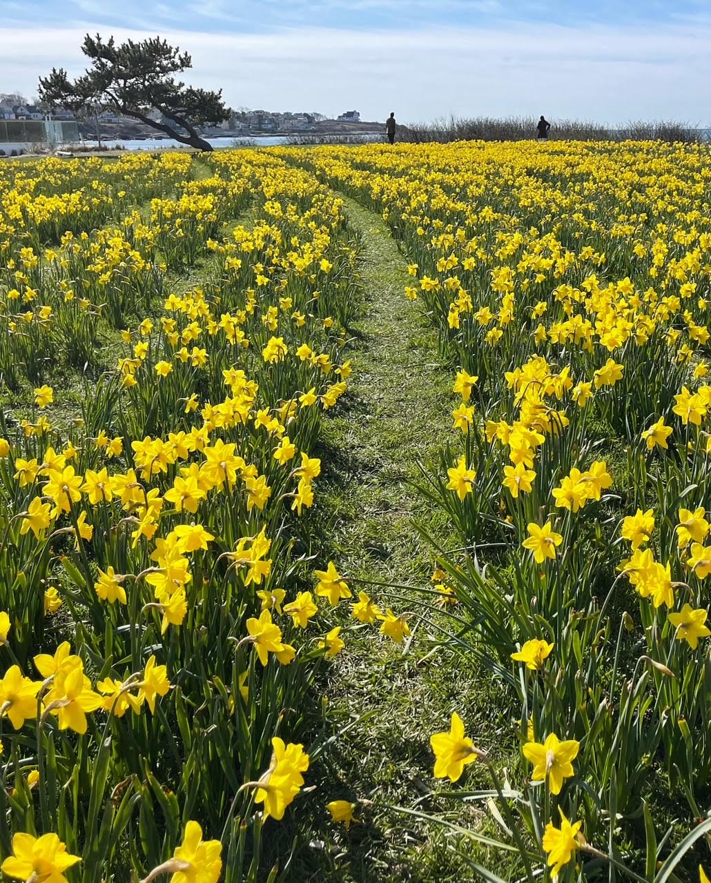 Weekly Challenge 26-14 Weekly Challenge 26