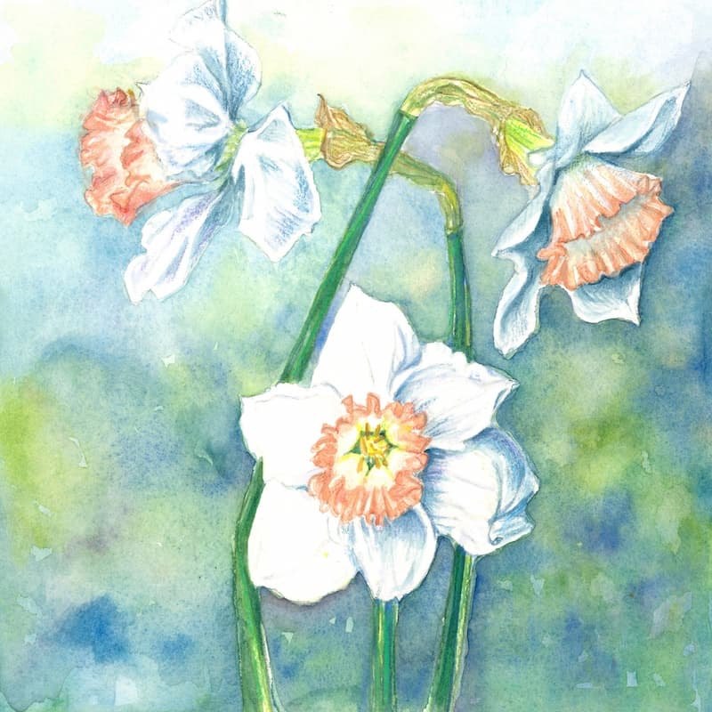 Workshop Title and Teacher Name