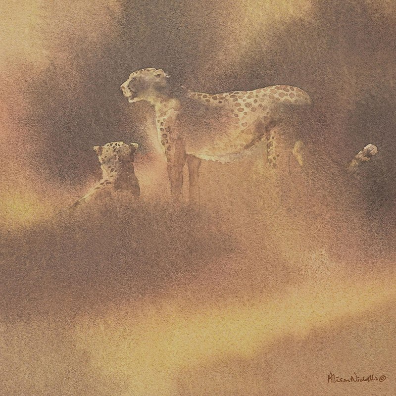 Alison Nicholls, Sketching and Painting Animals from Life
