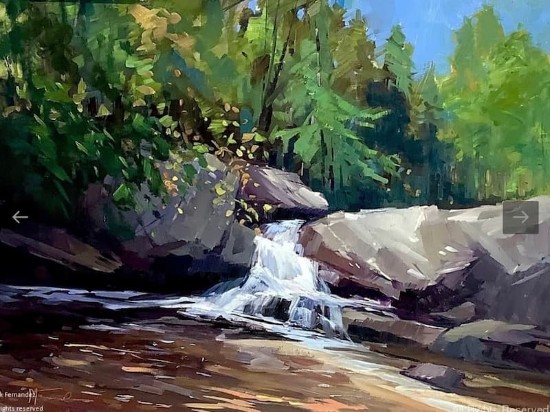 Mark Fernandez discovering gouache 800x600