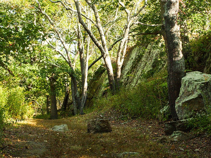 Ballard Park Nature Preserve, Newport